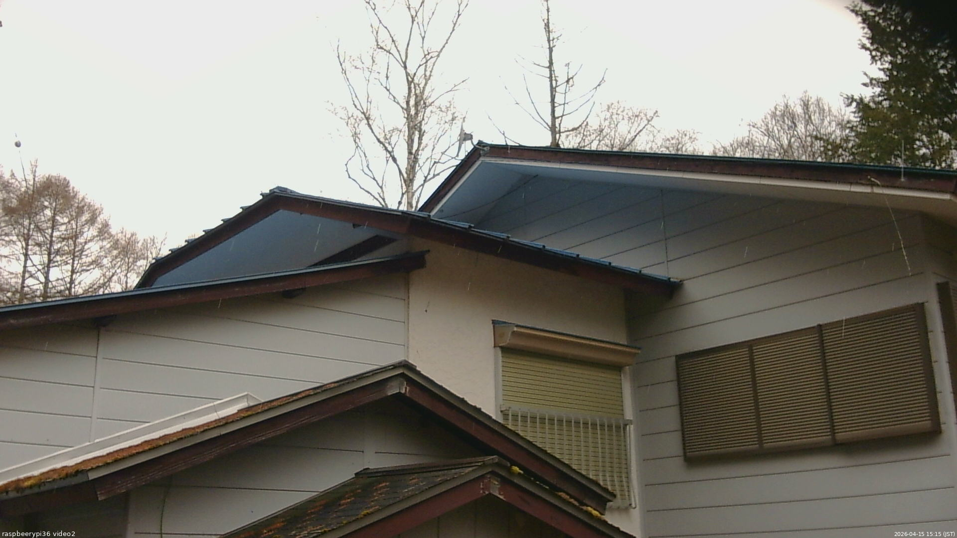 長野県菅平高原 ゆたか山荘 駐車場奥 2026/04/15 15:15