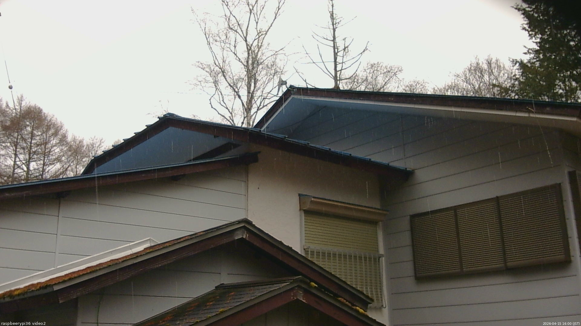 長野県菅平高原 ゆたか山荘 駐車場奥 2026/04/15 16:00