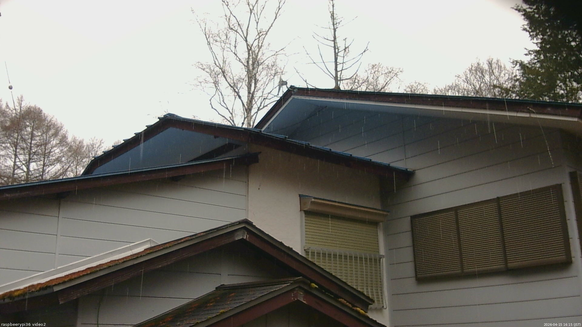 長野県菅平高原 ゆたか山荘 駐車場奥 2026/04/15 16:15