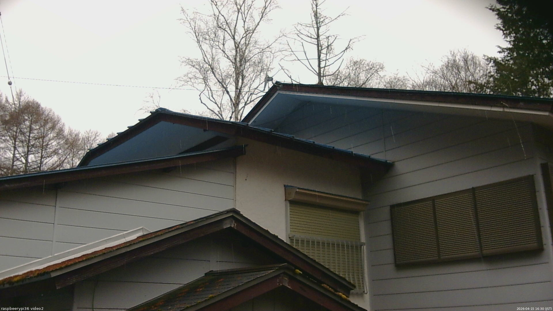 長野県菅平高原 ゆたか山荘 駐車場奥 2026/04/15 16:30