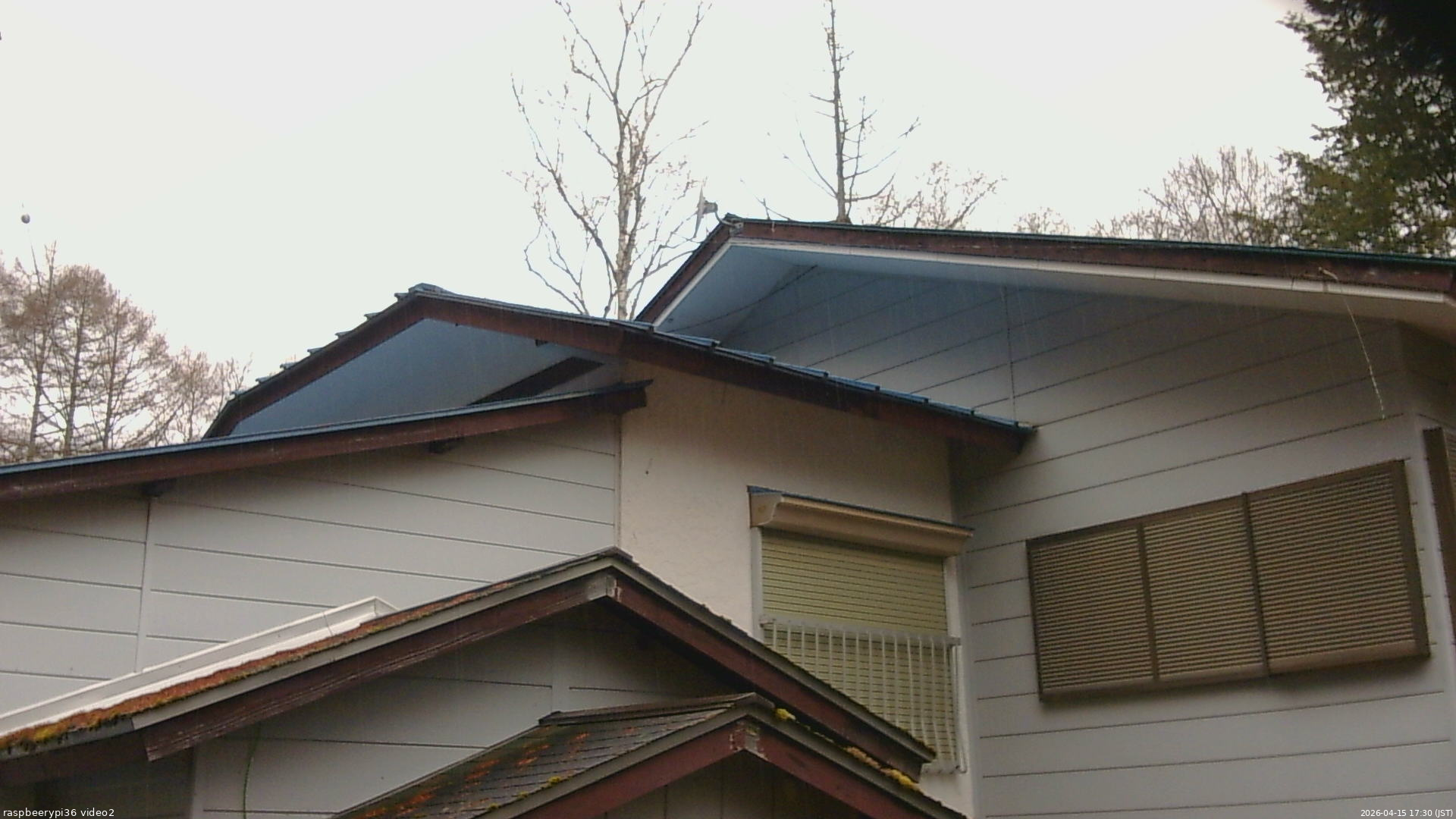 長野県菅平高原 ゆたか山荘 駐車場奥 2026/04/15 17:30