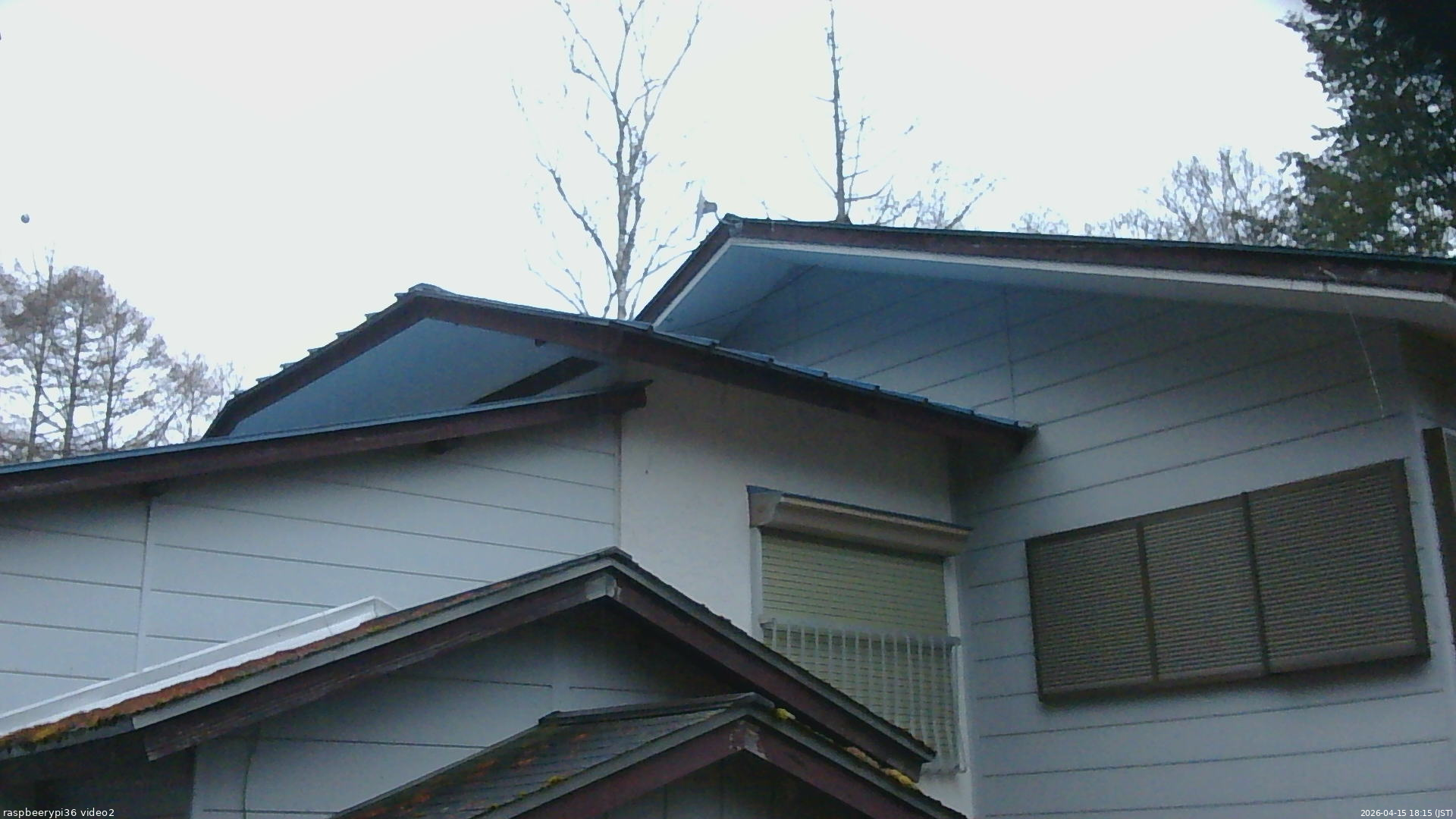 長野県菅平高原 ゆたか山荘 駐車場奥 2026/04/15 18:15