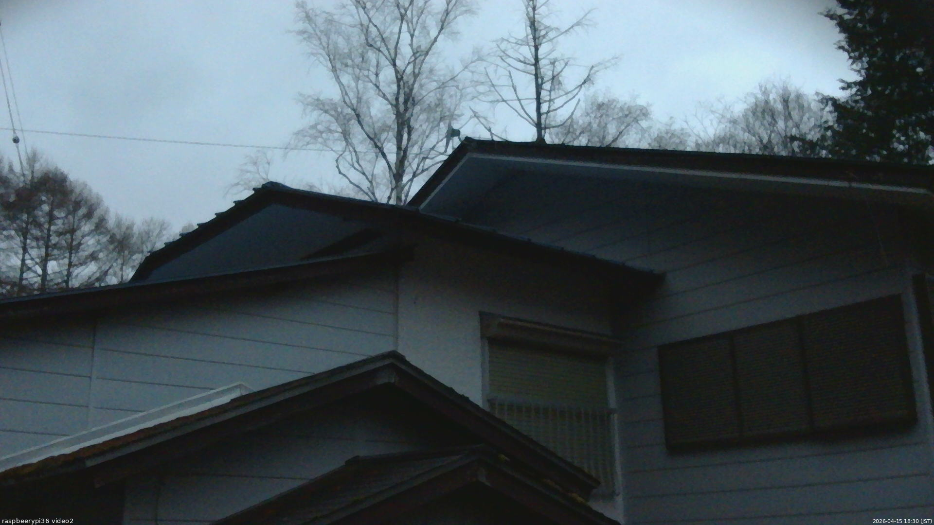 長野県菅平高原 ゆたか山荘 駐車場奥 2026/04/15 18:30