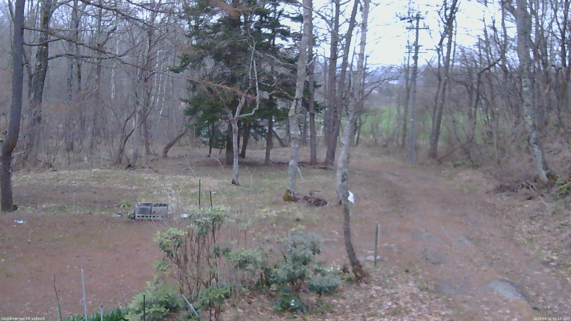 長野県菅平高原 ゆたか山荘 坂上 2026/04/15 05:15
