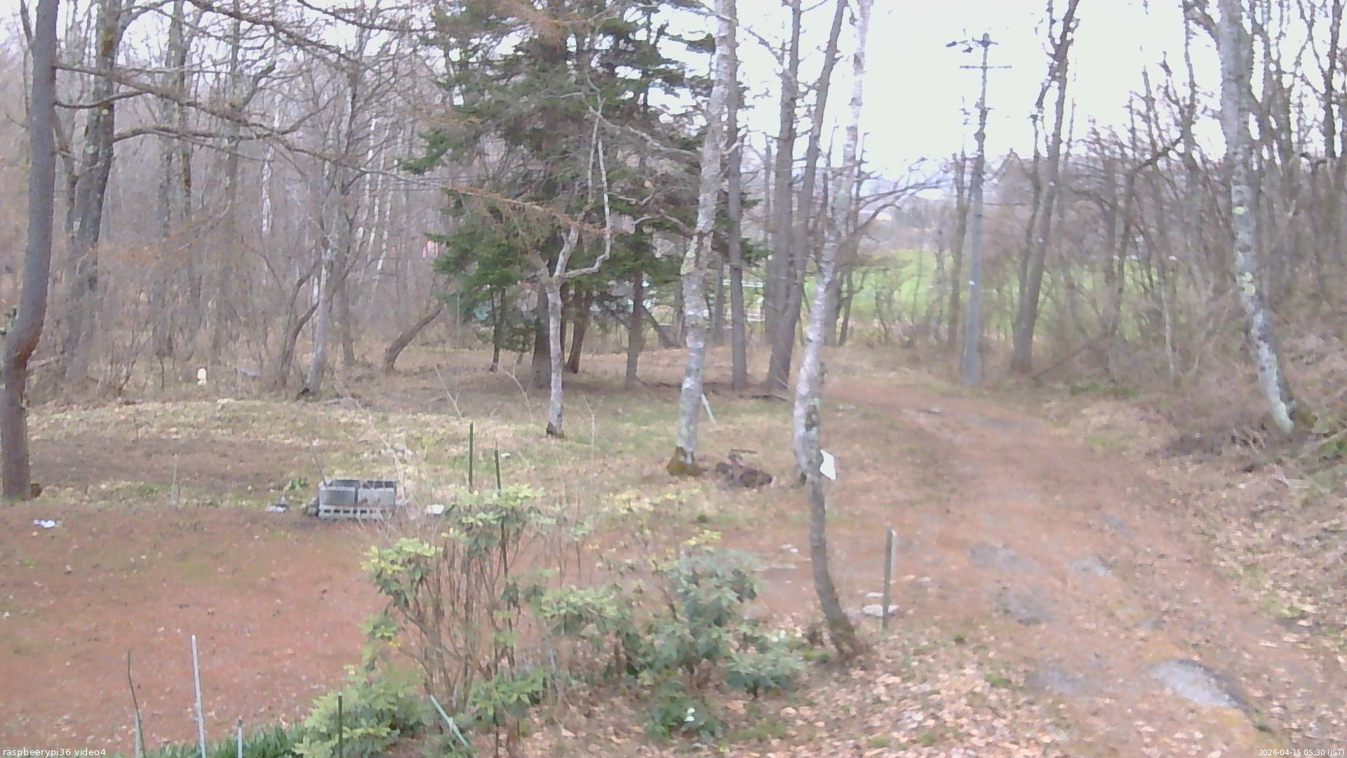 長野県菅平高原 ゆたか山荘 坂上 2026/04/15 05:30