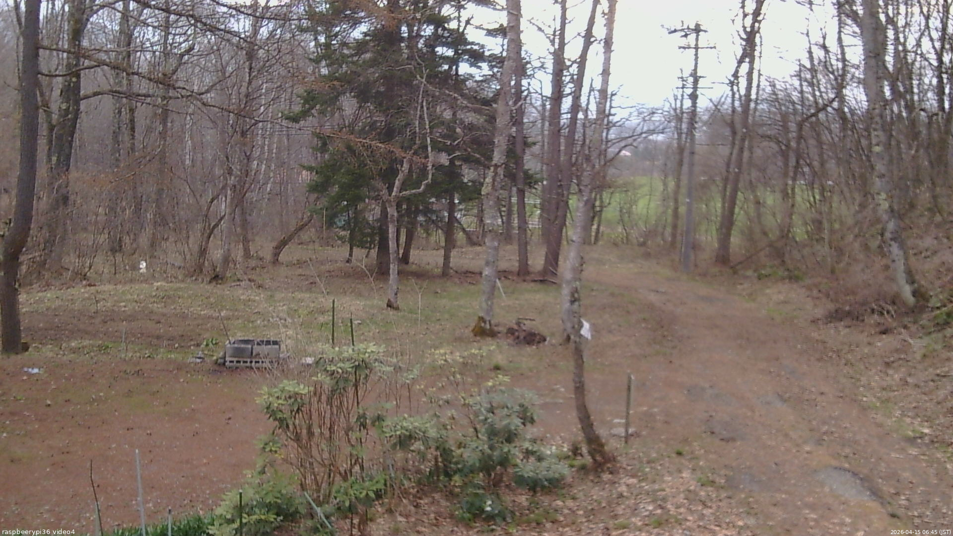 長野県菅平高原 ゆたか山荘 坂上 2026/04/15 06:45