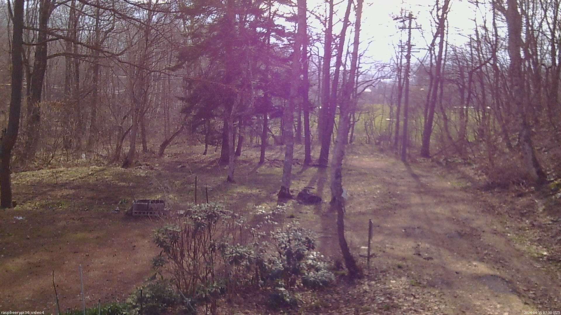 長野県菅平高原 ゆたか山荘 坂上 2026/04/15 07:30