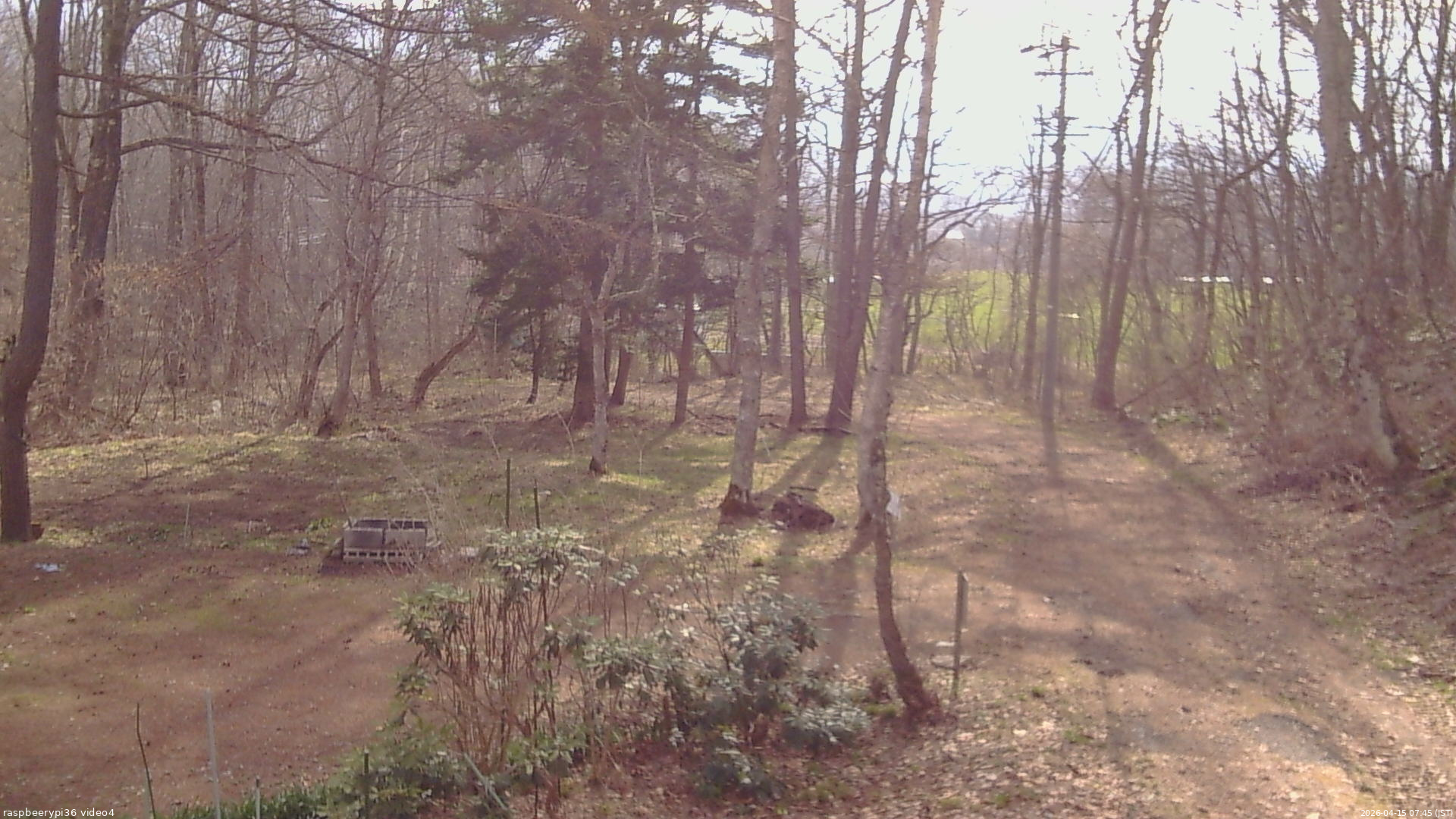 長野県菅平高原 ゆたか山荘 坂上 2026/04/15 07:45