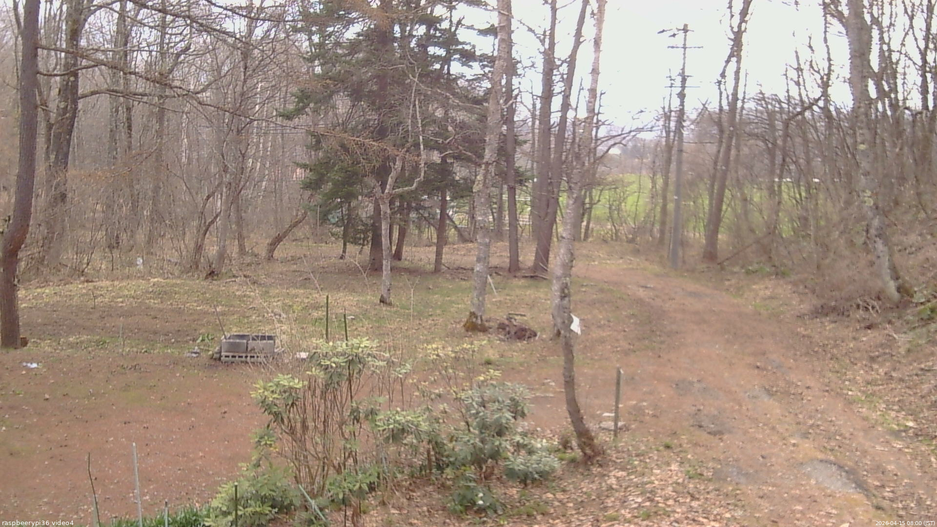長野県菅平高原 ゆたか山荘 坂上 2026/04/15 08:00