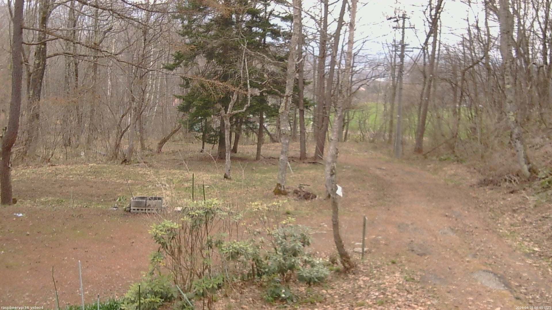 長野県菅平高原 ゆたか山荘 坂上 2026/04/15 08:45