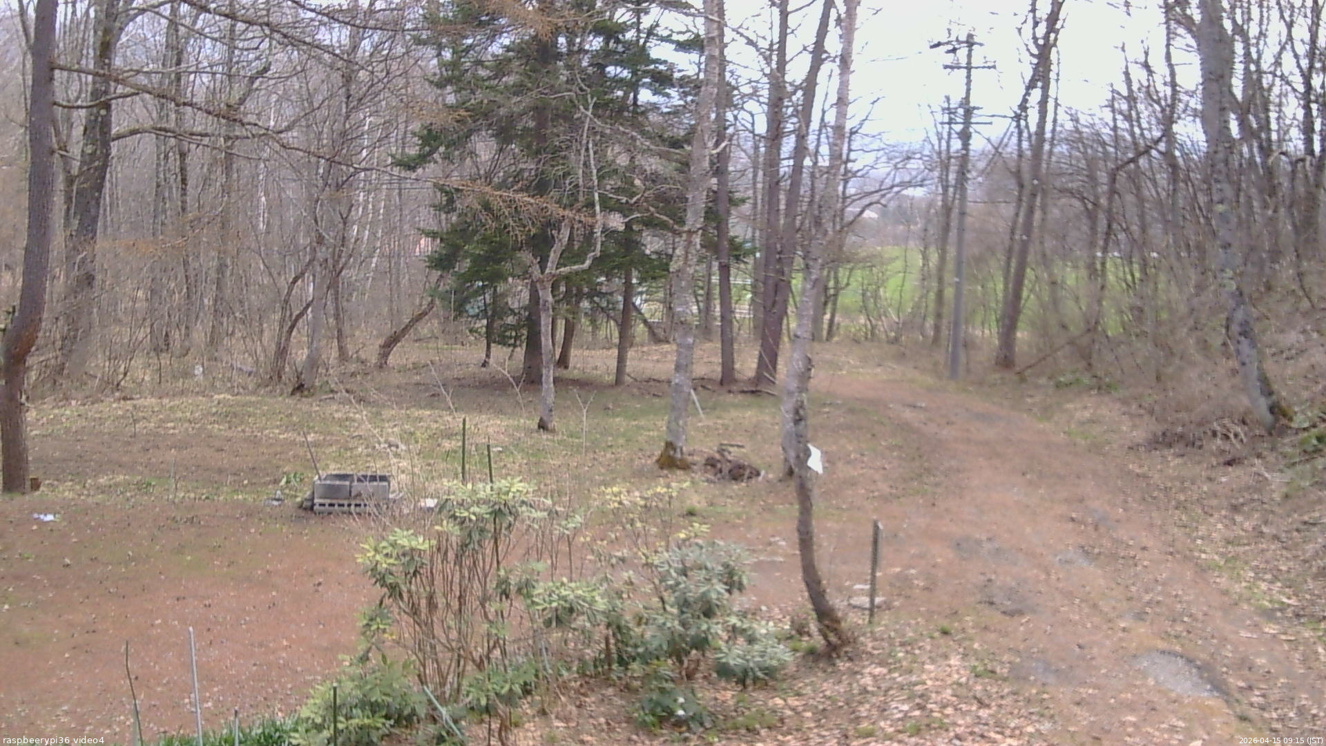 長野県菅平高原 ゆたか山荘 坂上 2026/04/15 09:15