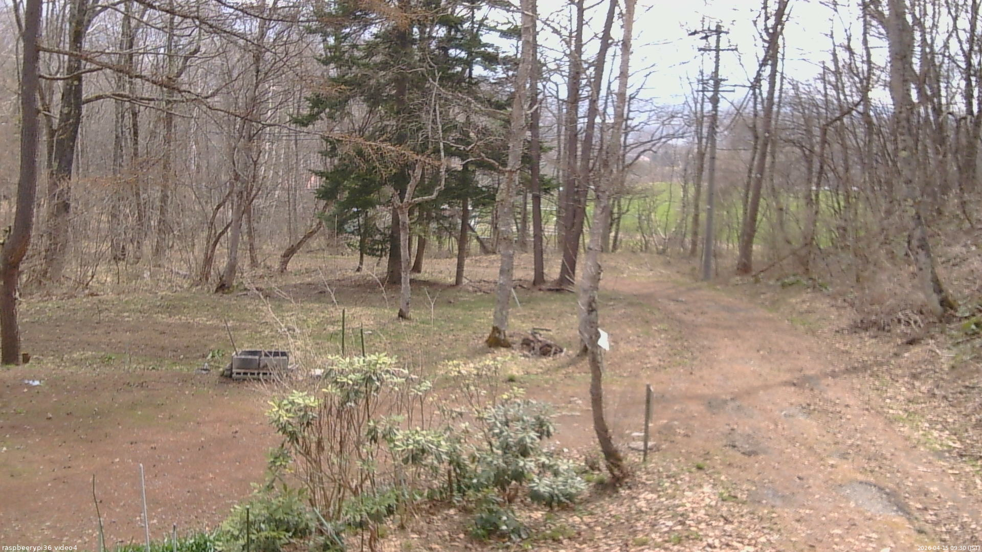 長野県菅平高原 ゆたか山荘 坂上 2026/04/15 09:30
