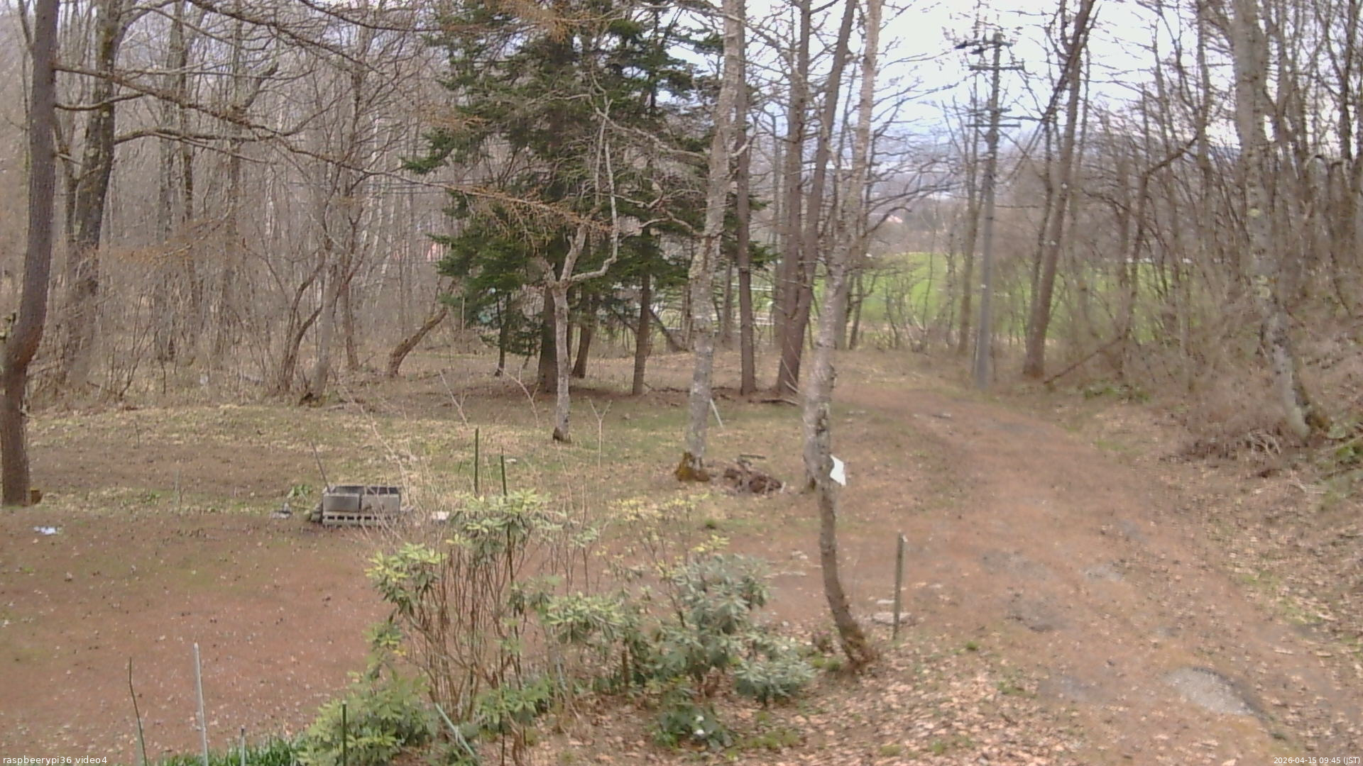 長野県菅平高原 ゆたか山荘 坂上 2026/04/15 09:45