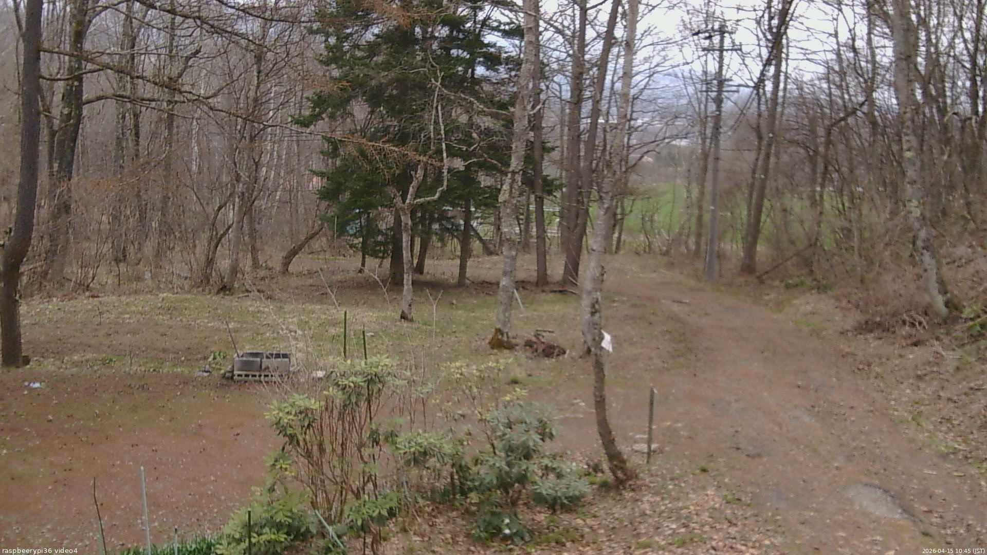 長野県菅平高原 ゆたか山荘 坂上 2026/04/15 10:45