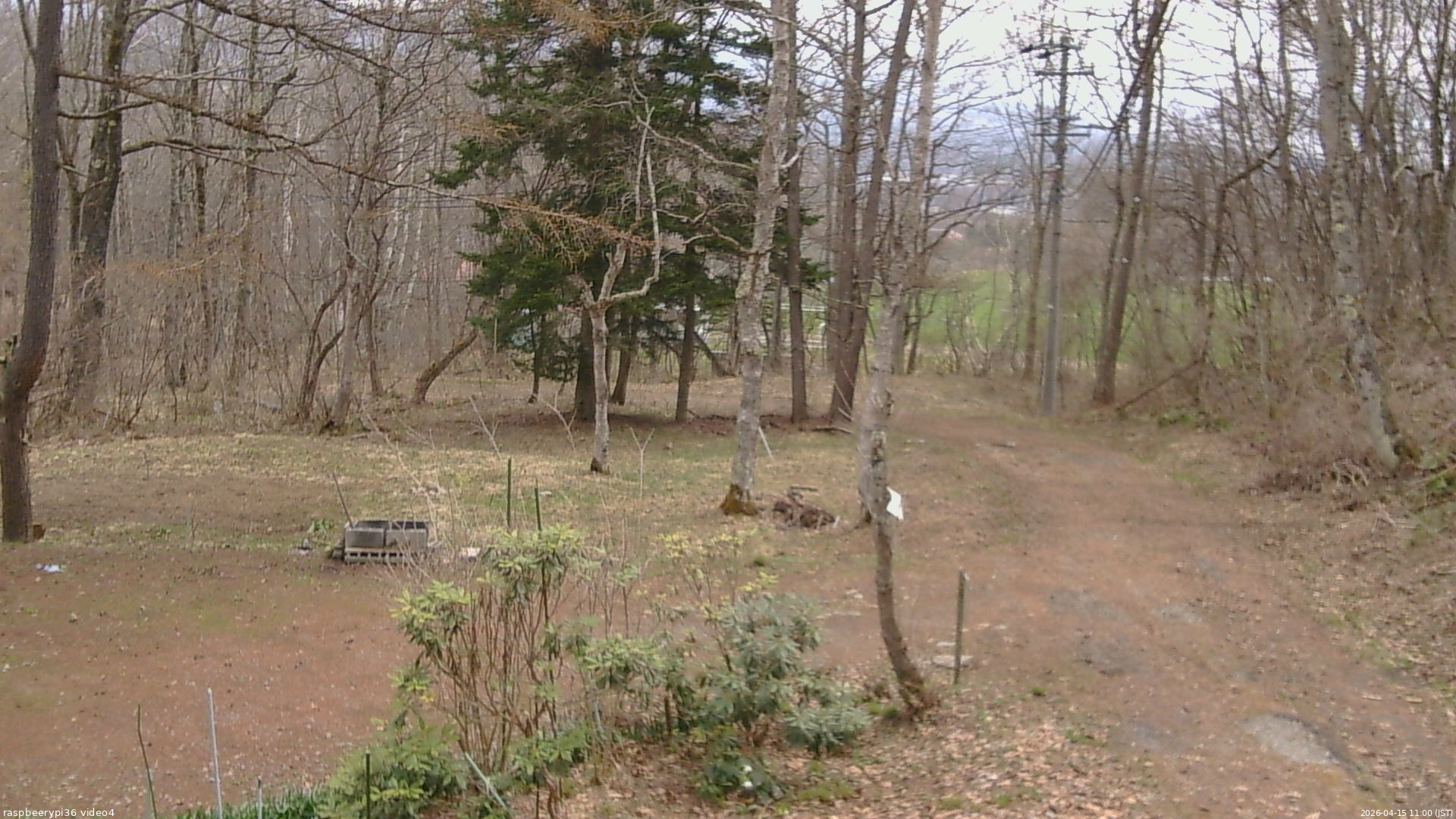 長野県菅平高原 ゆたか山荘 坂上 2026/04/15 11:00