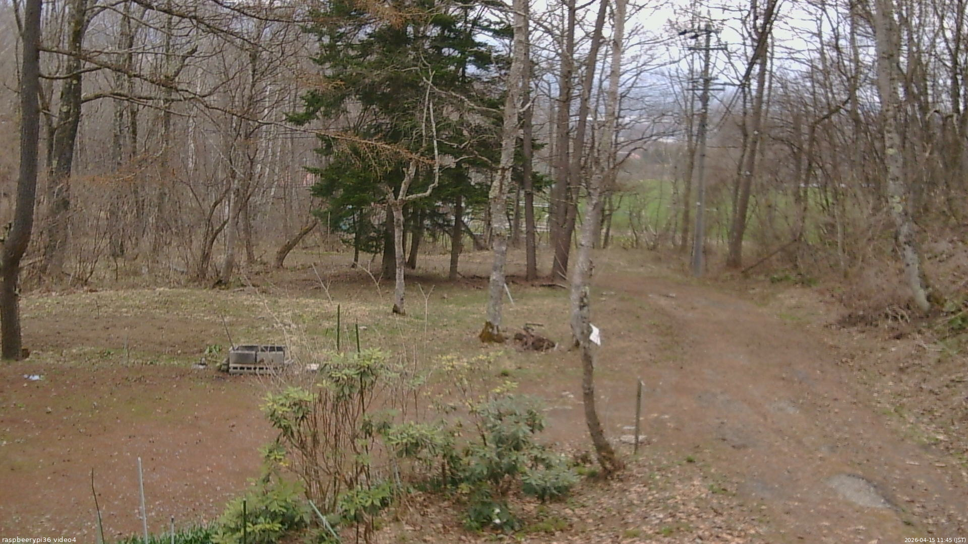 長野県菅平高原 ゆたか山荘 坂上 2026/04/15 11:45