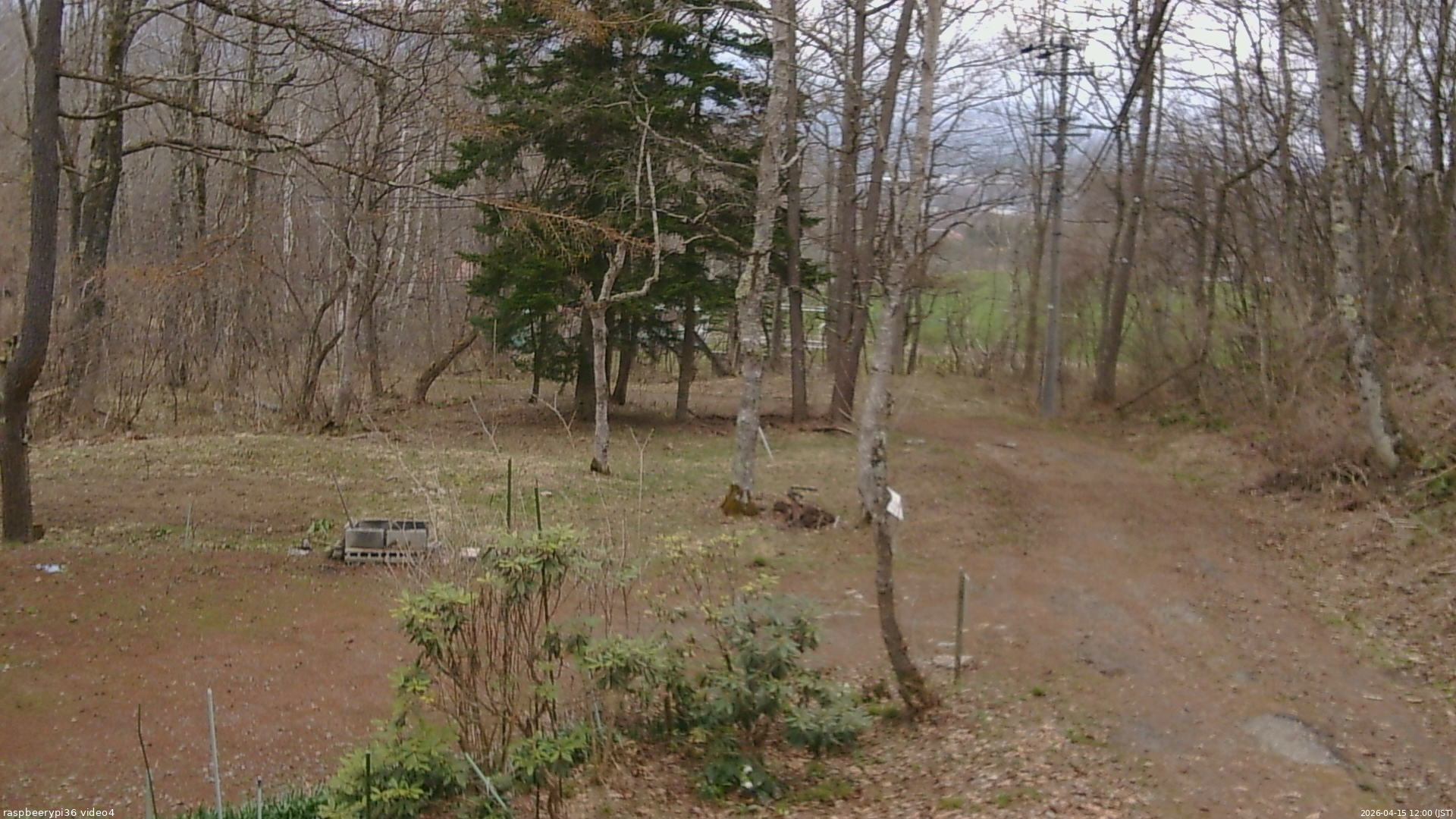 長野県菅平高原 ゆたか山荘 坂上 2026/04/15 12:00