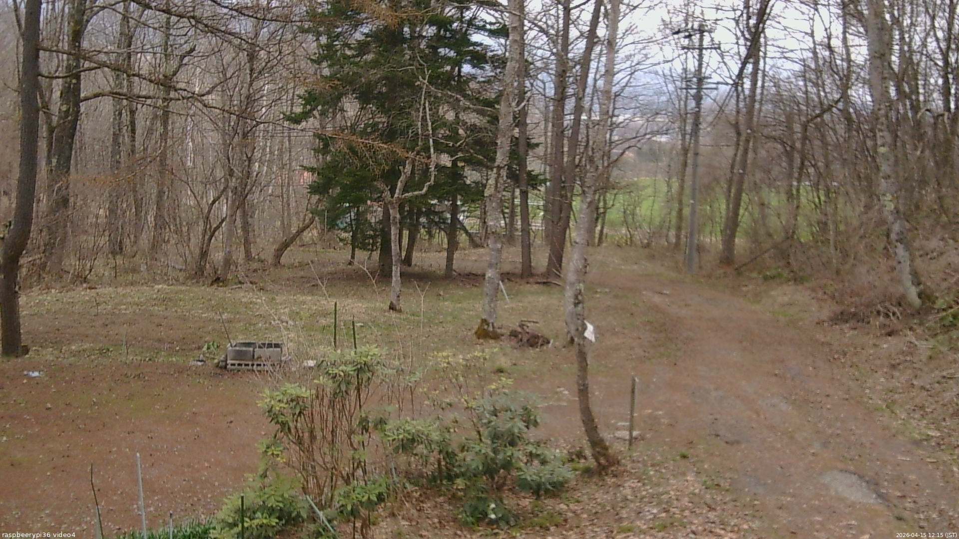 長野県菅平高原 ゆたか山荘 坂上 2026/04/15 12:15