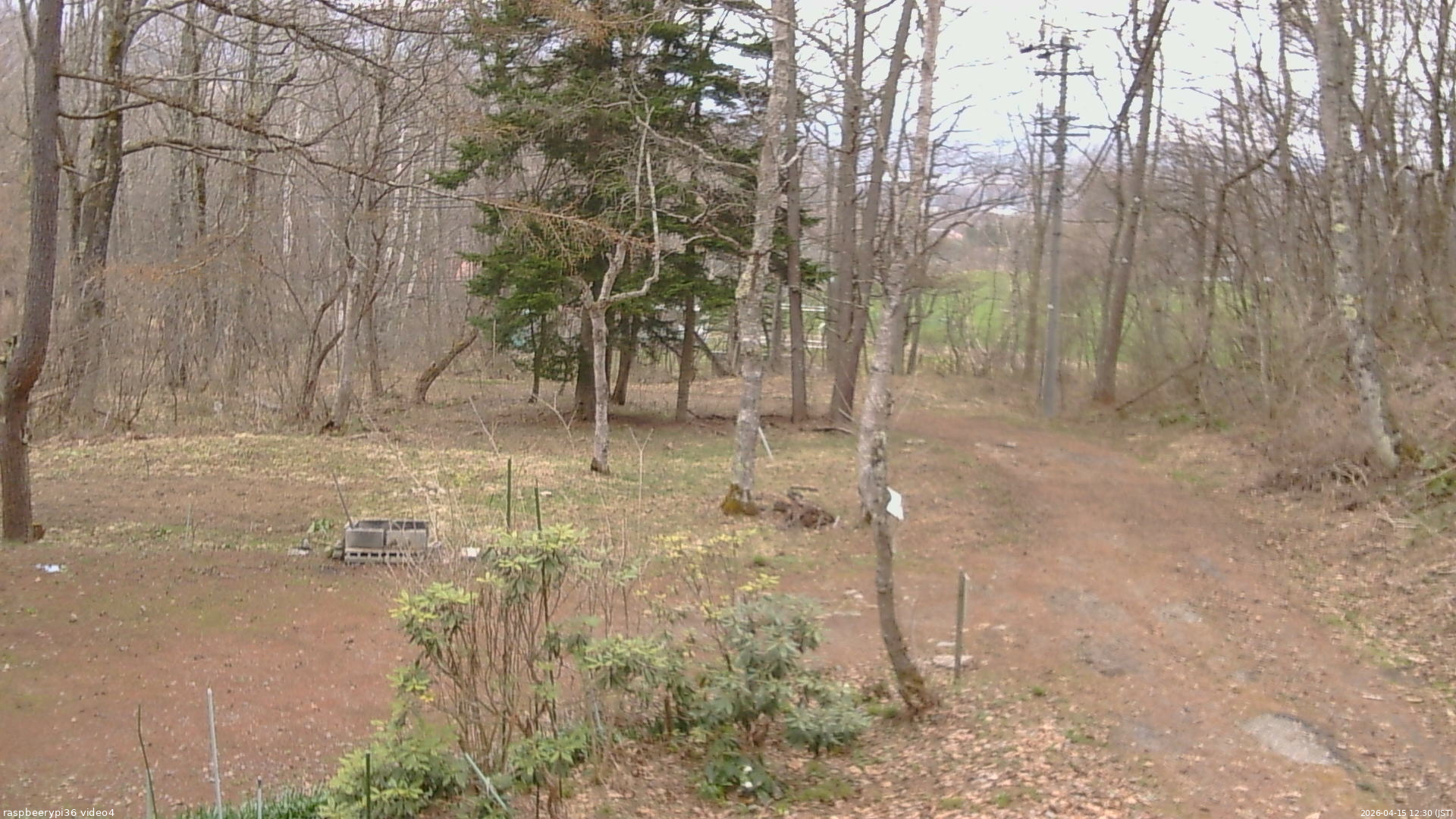 長野県菅平高原 ゆたか山荘 坂上 2026/04/15 12:30