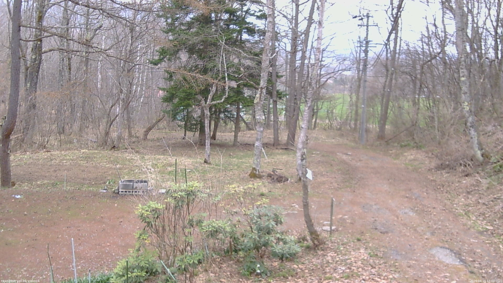 長野県菅平高原 ゆたか山荘 坂上 2026/04/15 13:00