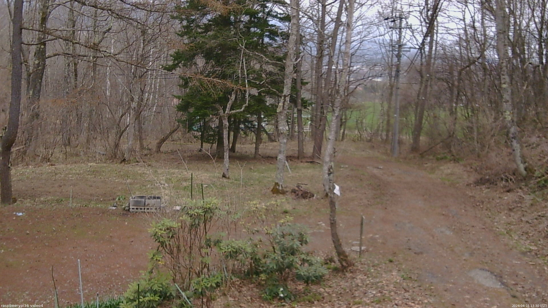 長野県菅平高原 ゆたか山荘 坂上 2026/04/15 13:30