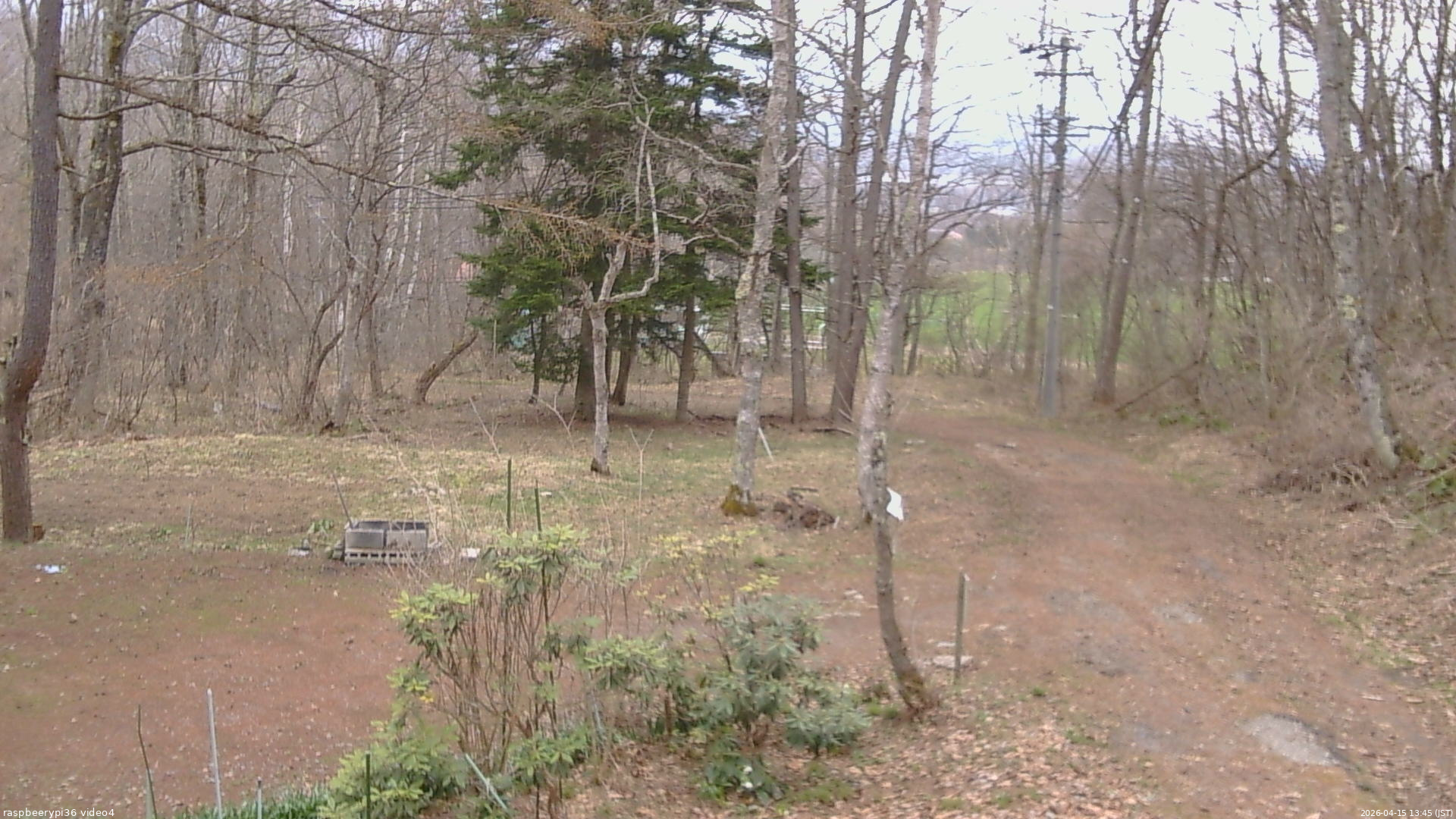 長野県菅平高原 ゆたか山荘 坂上 2026/04/15 13:45