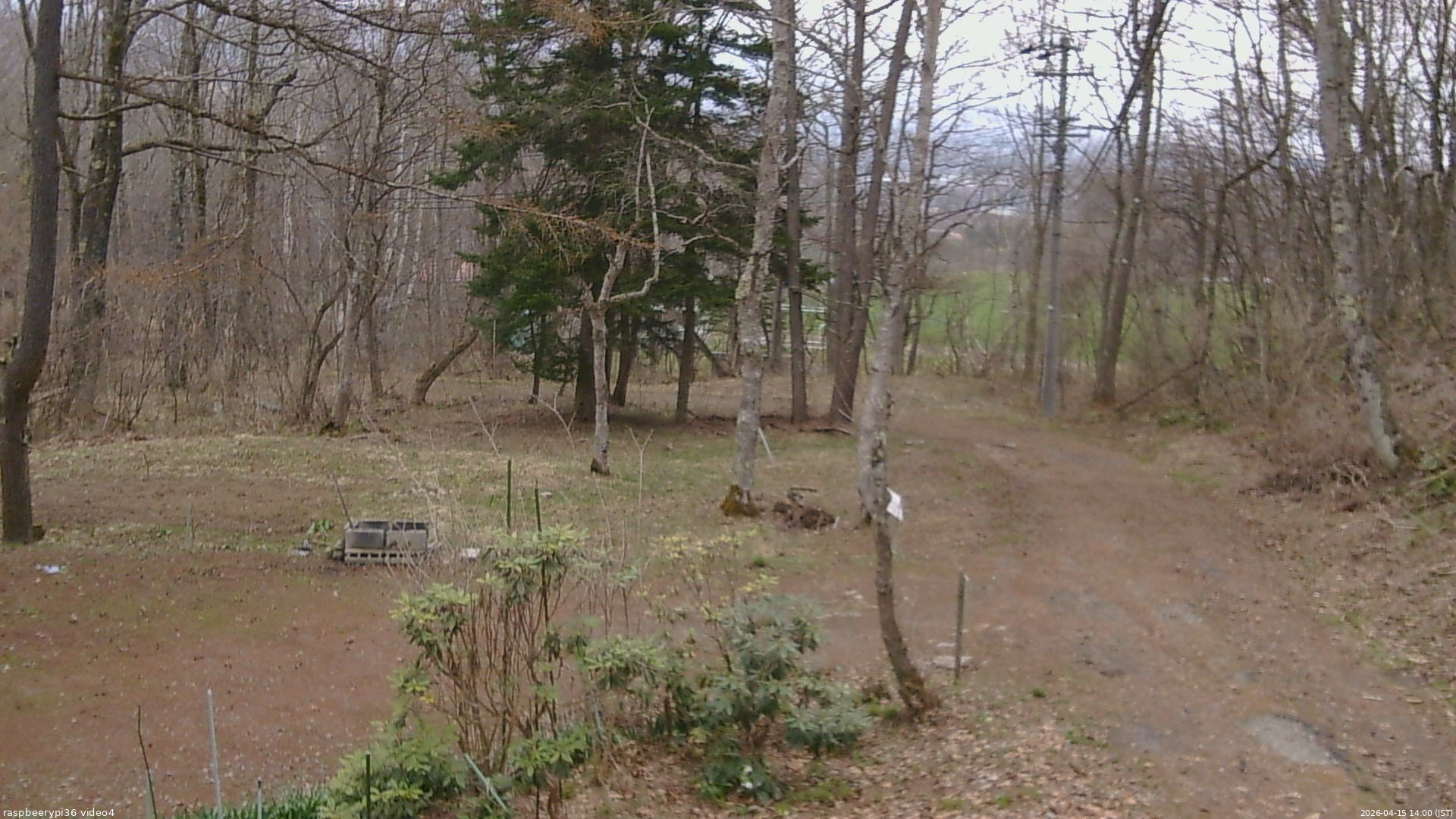 長野県菅平高原 ゆたか山荘 坂上 2026/04/15 14:00