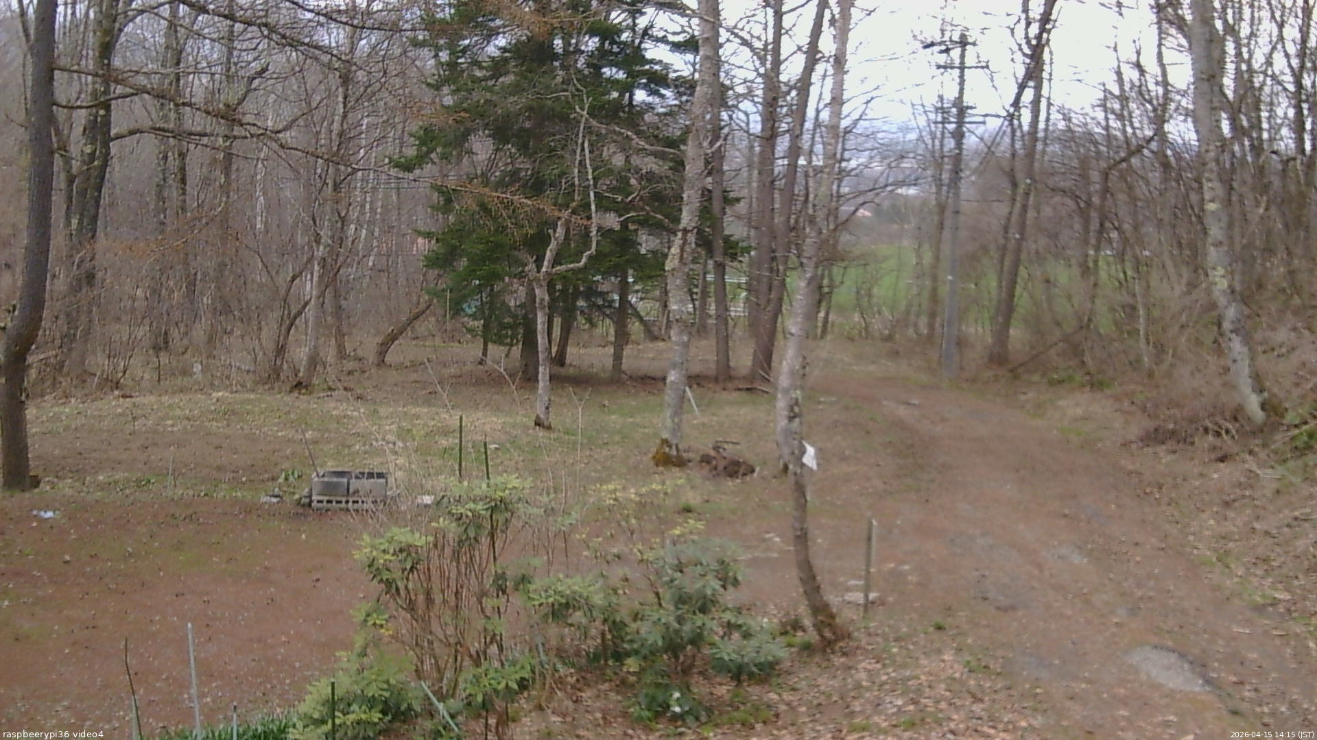 長野県菅平高原 ゆたか山荘 坂上 2026/04/15 14:15