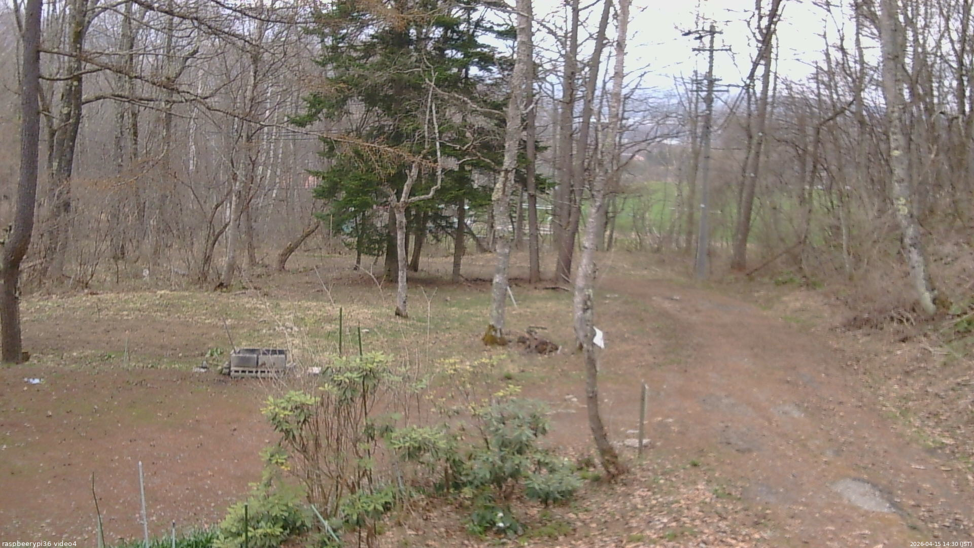 長野県菅平高原 ゆたか山荘 坂上 2026/04/15 14:30