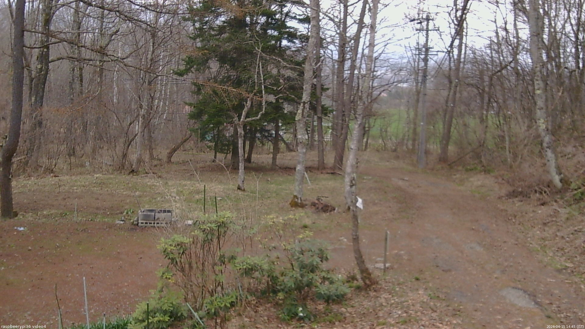 長野県菅平高原 ゆたか山荘 坂上 2026/04/15 14:45