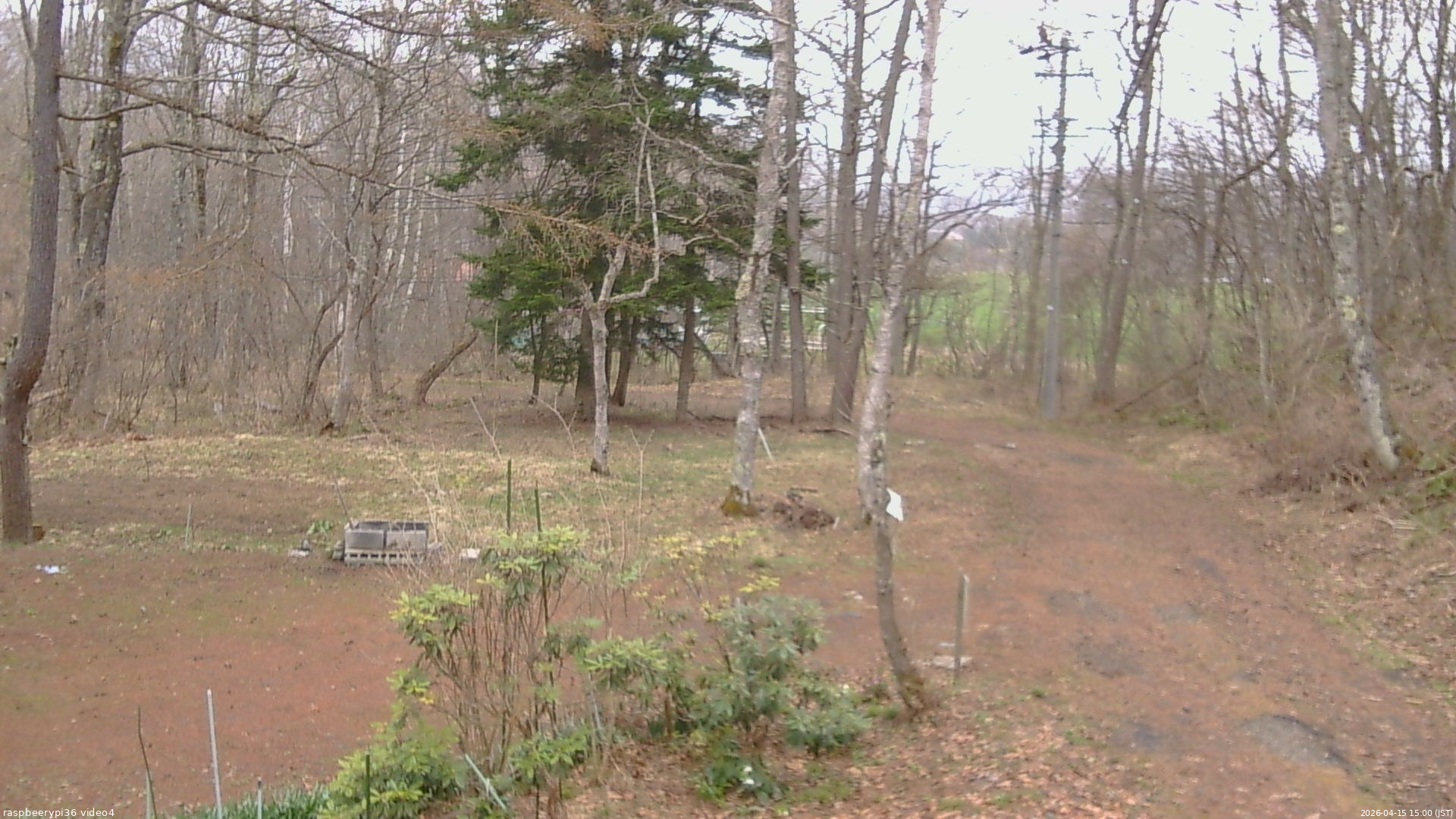 長野県菅平高原 ゆたか山荘 坂上 2026/04/15 15:00