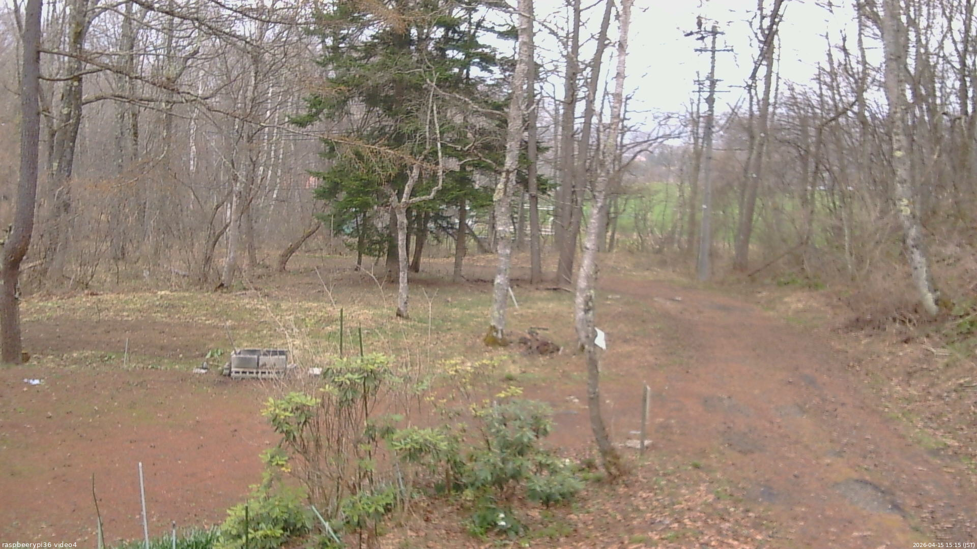 長野県菅平高原 ゆたか山荘 坂上 2026/04/15 15:15