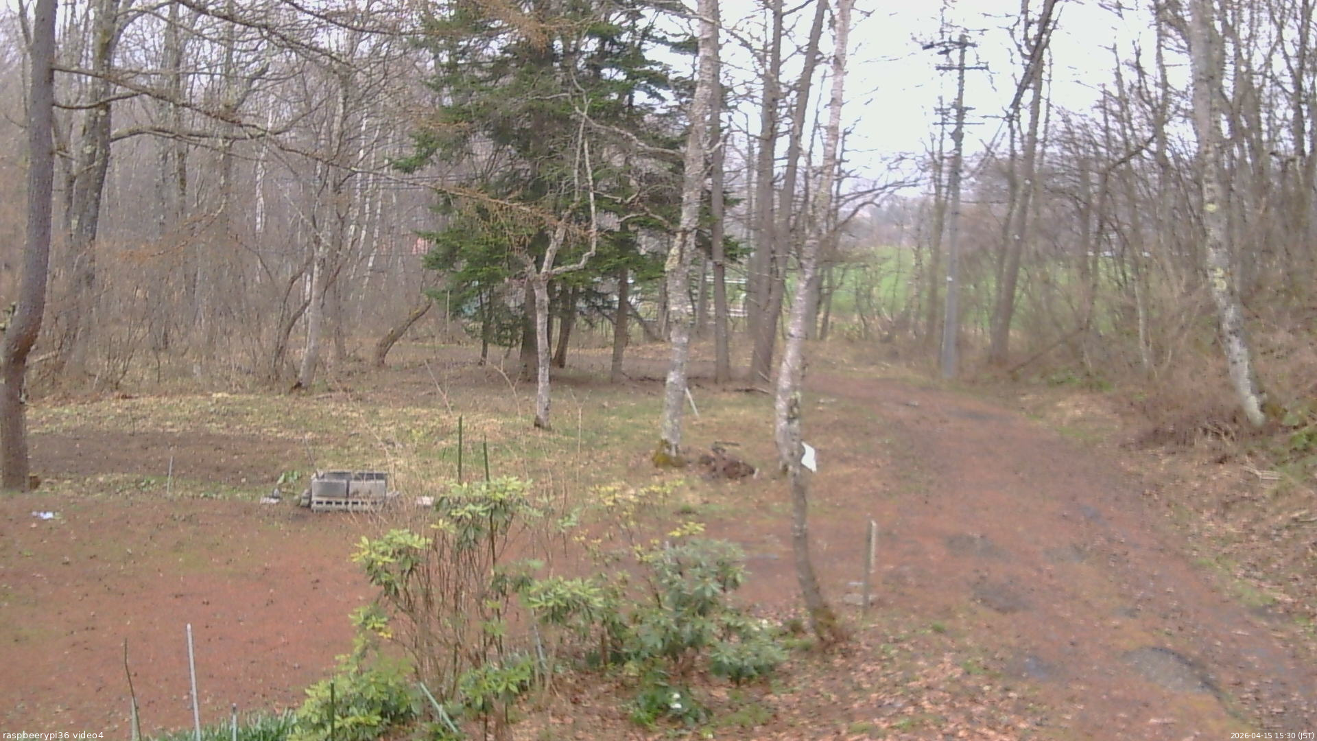 長野県菅平高原 ゆたか山荘 坂上 2026/04/15 15:30