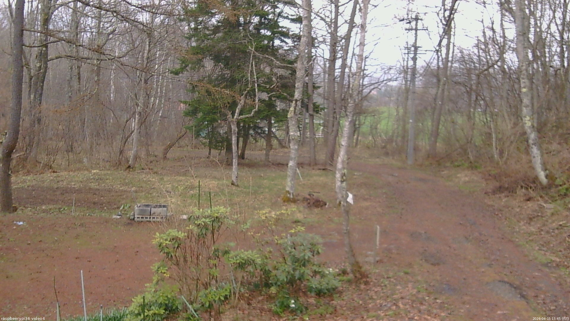 長野県菅平高原 ゆたか山荘 坂上 2026/04/15 15:45