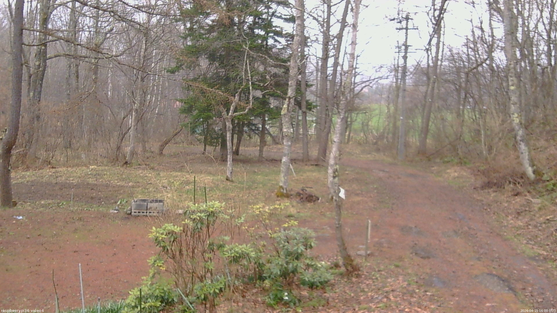 長野県菅平高原 ゆたか山荘 坂上 2026/04/15 16:00