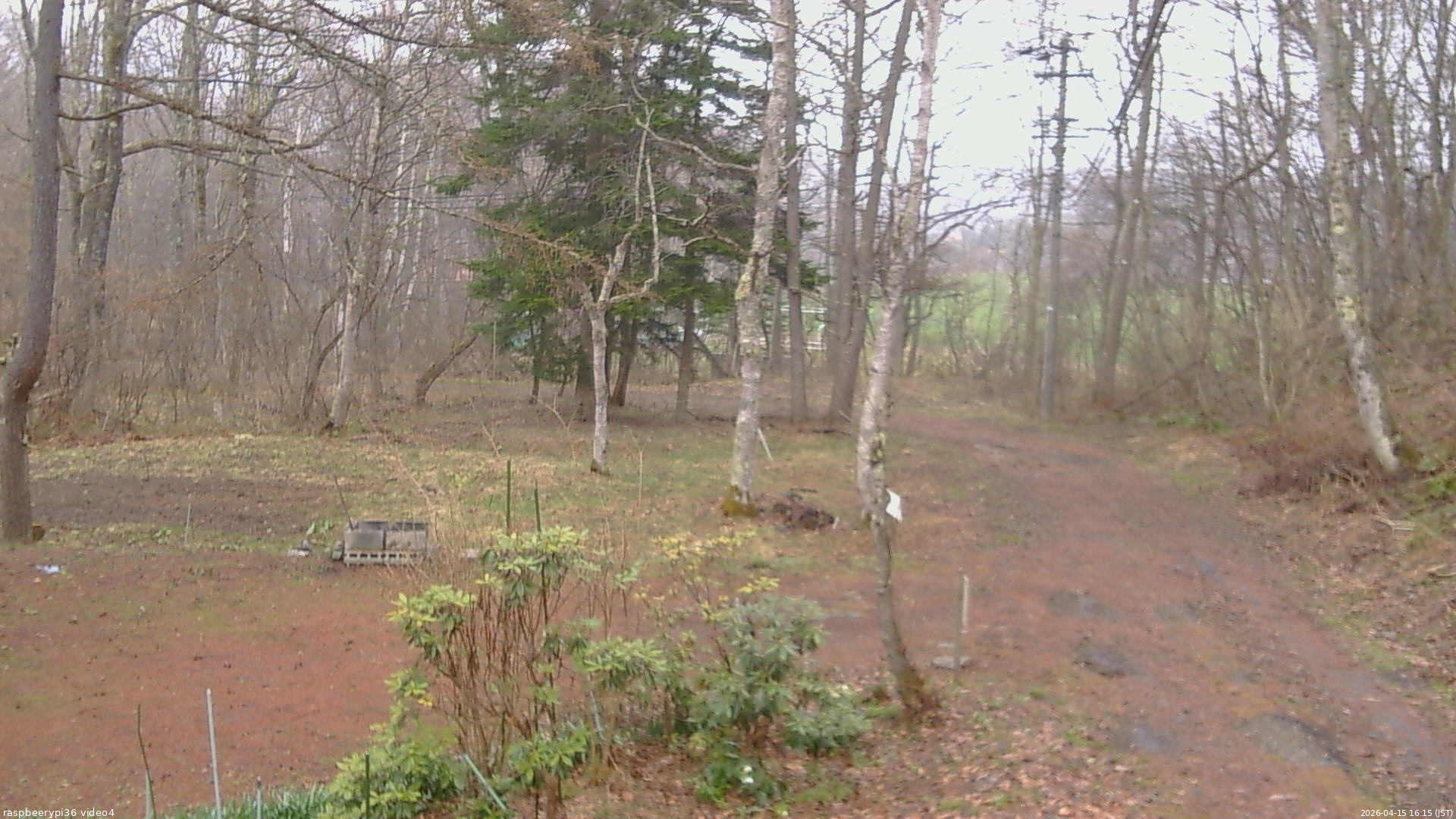 長野県菅平高原 ゆたか山荘 坂上 2026/04/15 16:15