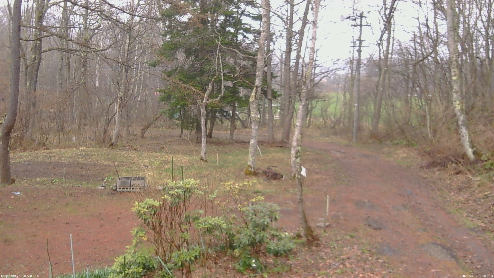 長野県菅平高原 ゆたか山荘 坂上 2026/04/15 17:00