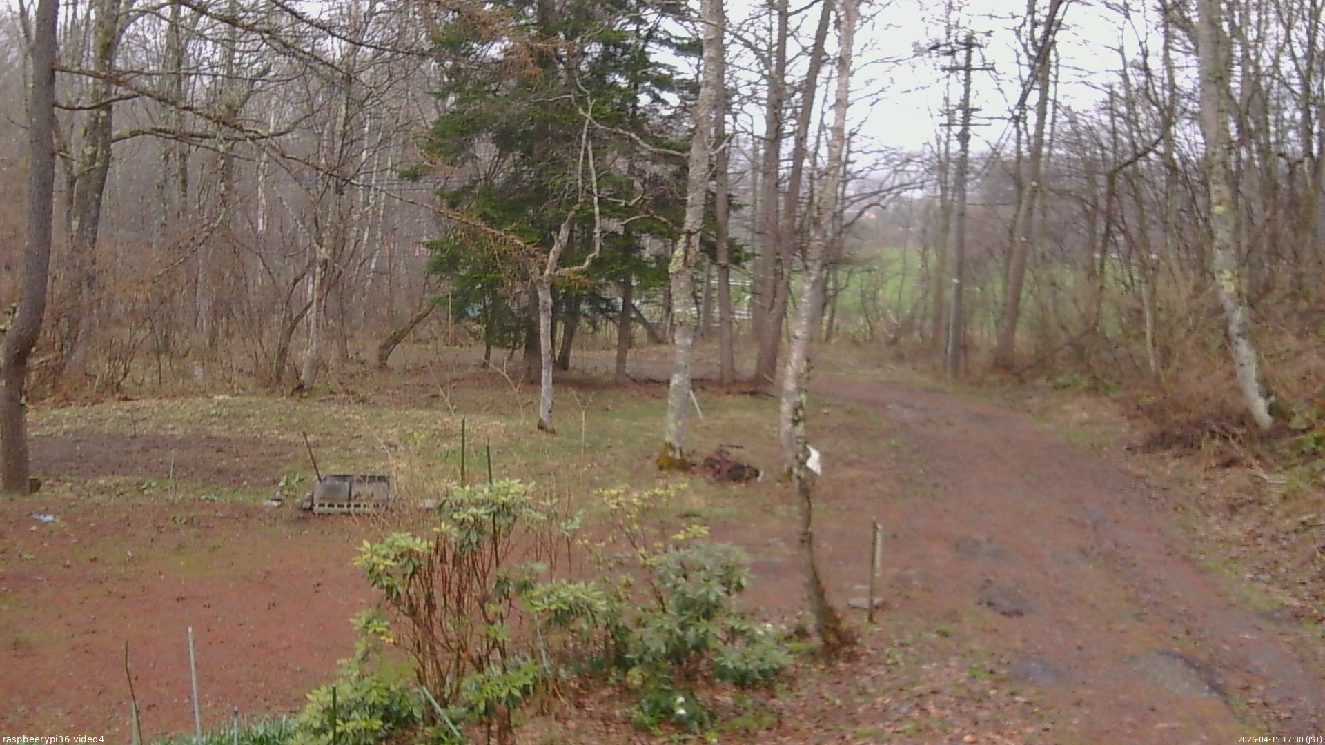 長野県菅平高原 ゆたか山荘 坂上 2026/04/15 17:30