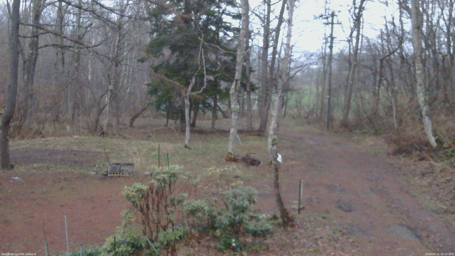 長野県菅平高原 ゆたか山荘 坂上 2026/04/15 18:15