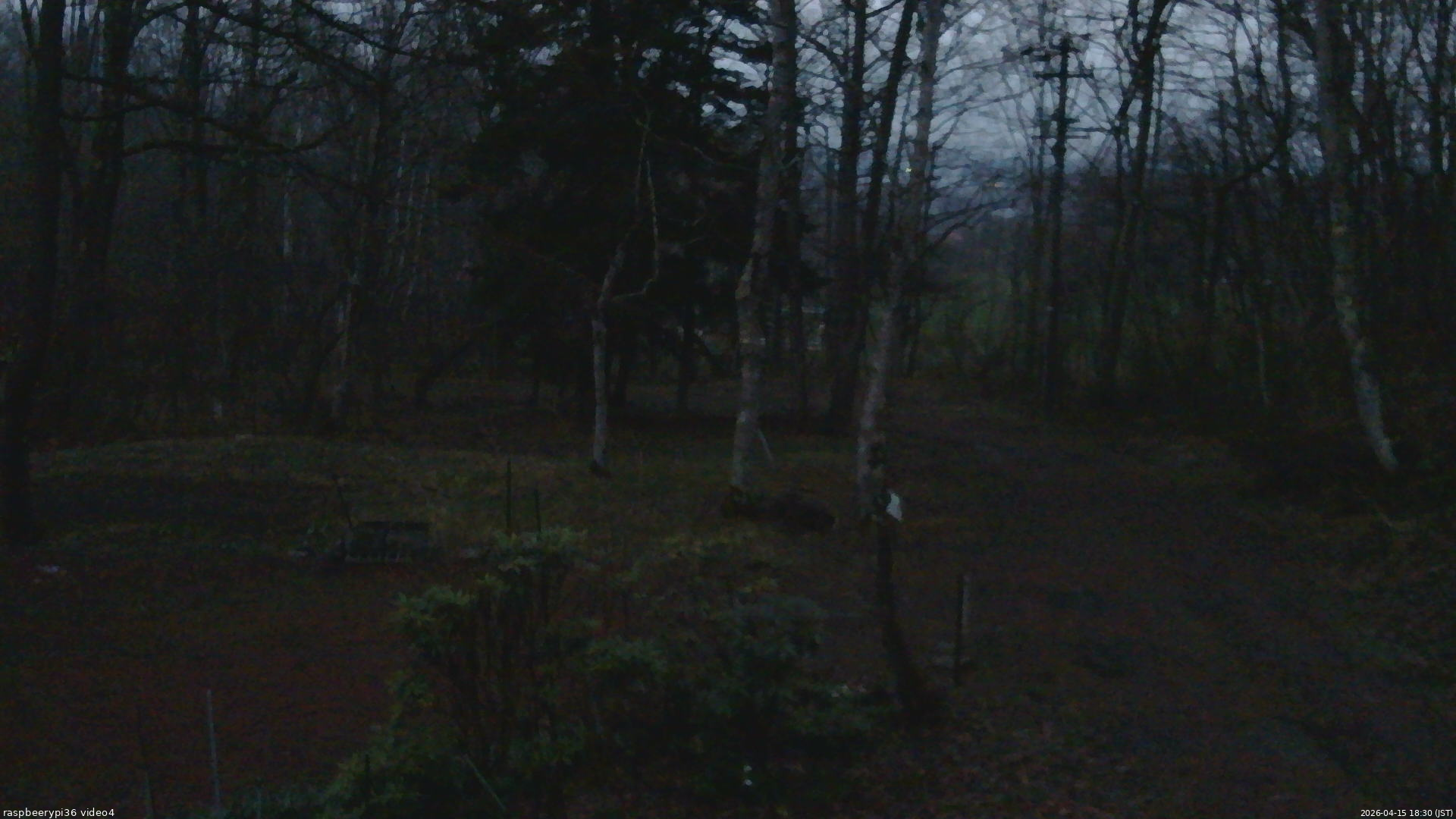 長野県菅平高原 ゆたか山荘 坂上 2026/04/15 18:30