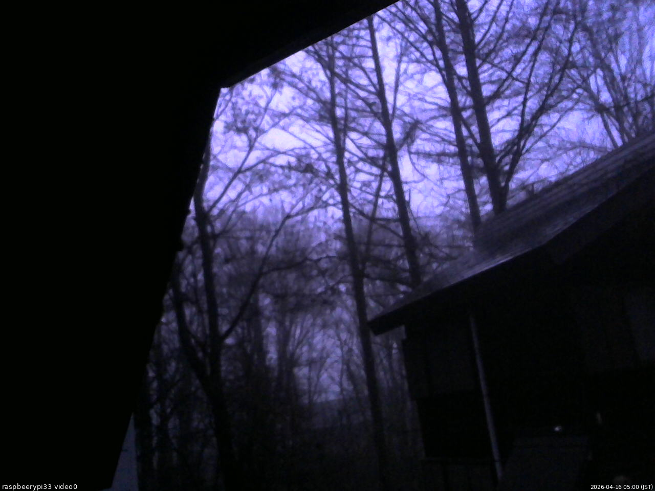 長野県菅平高原 ゆたか山荘 北側 2026/04/16 05:00