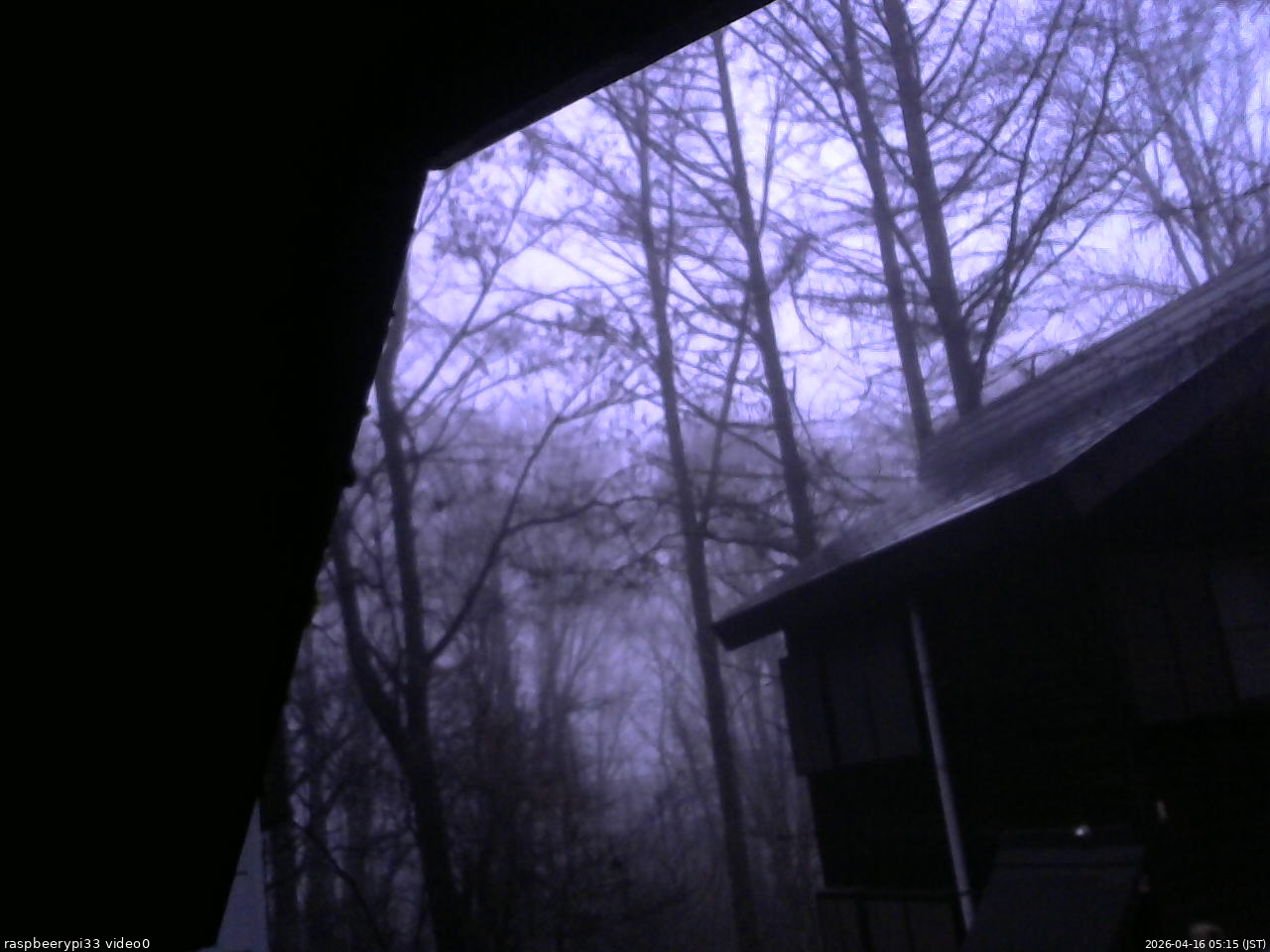 長野県菅平高原 ゆたか山荘 北側 2026/04/16 05:15