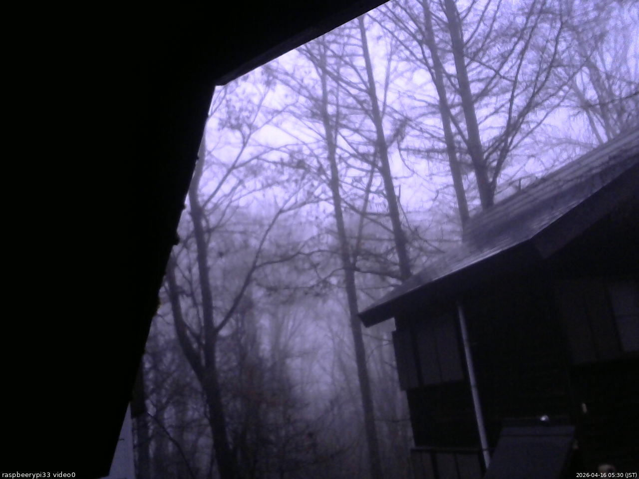 長野県菅平高原 ゆたか山荘 北側 2026/04/16 05:30