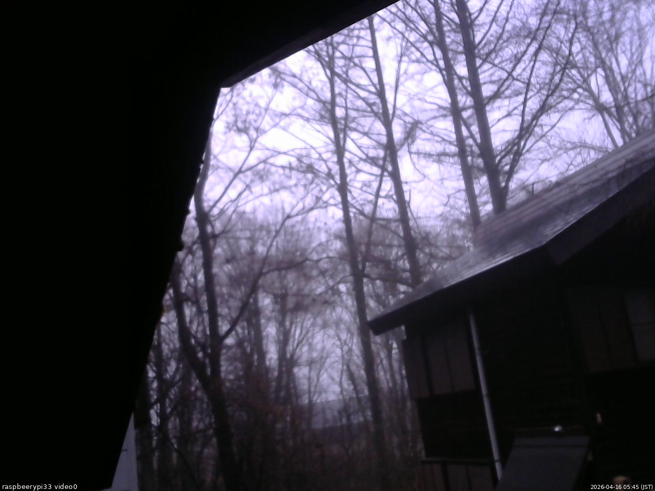 長野県菅平高原 ゆたか山荘 北側 2026/04/16 05:45