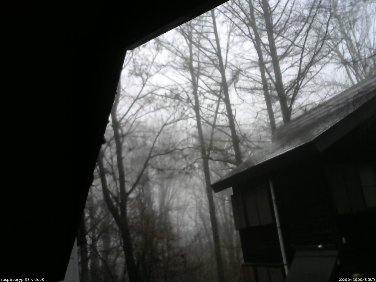 長野県菅平高原 ゆたか山荘 北側 2026/04/16 06:45