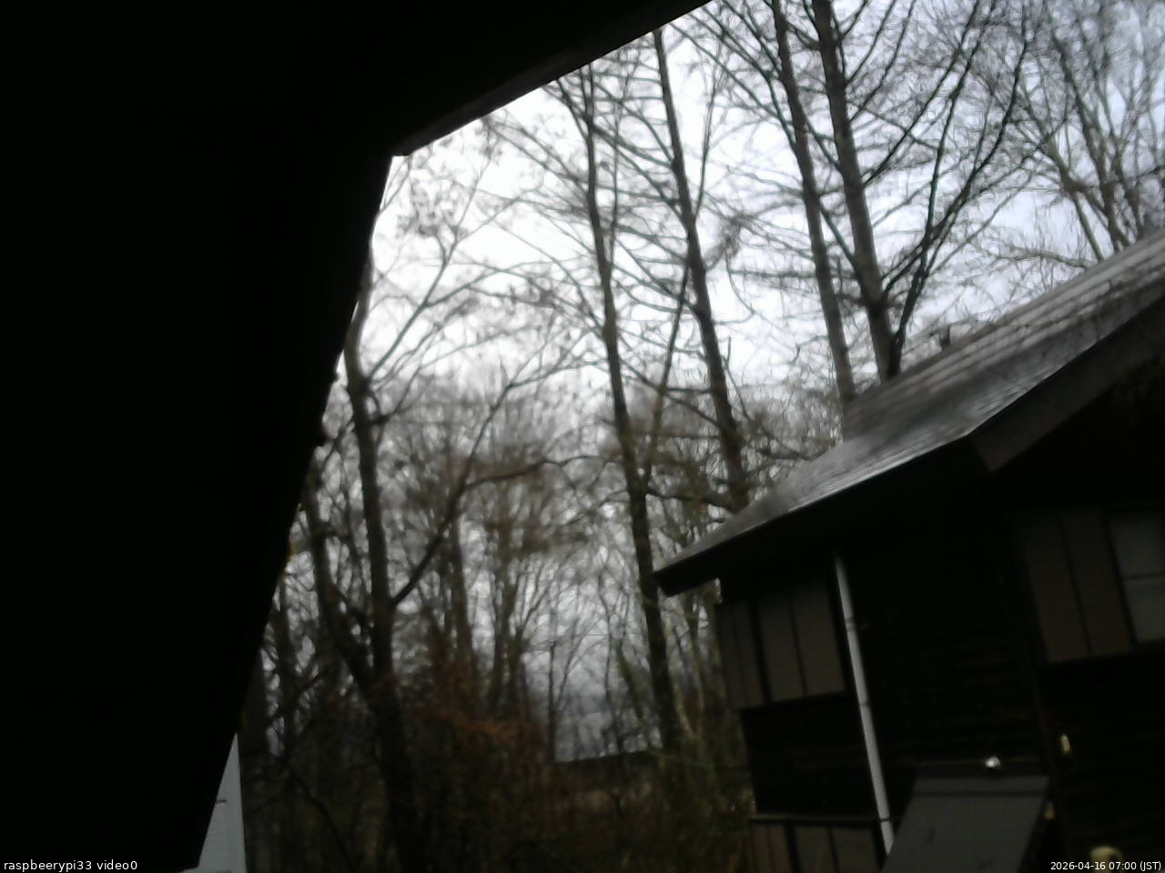 長野県菅平高原 ゆたか山荘 北側 2026/04/16 07:00