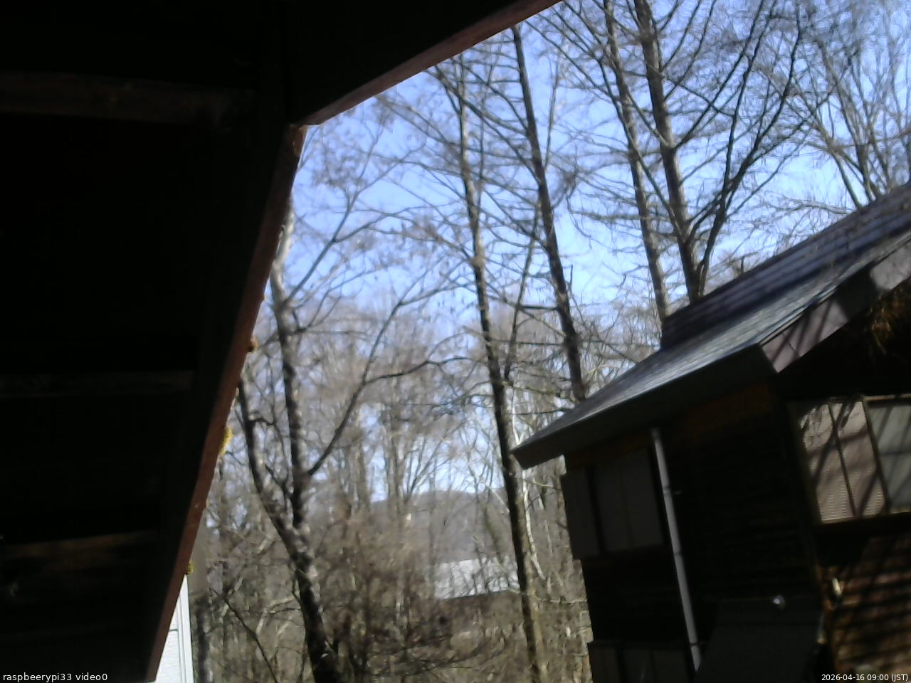 長野県菅平高原 ゆたか山荘 北側 2026/04/16 09:00