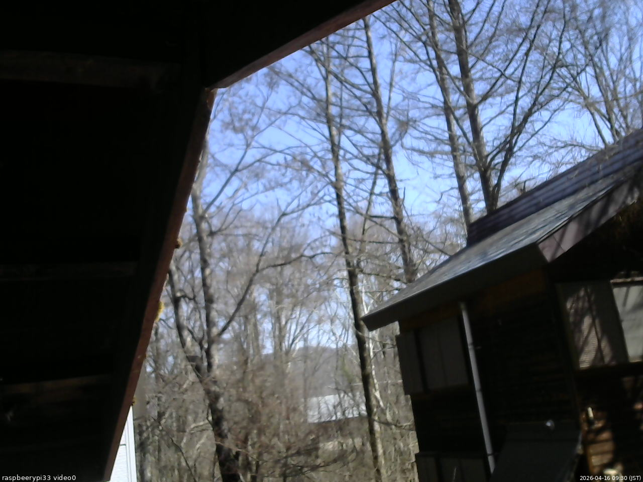 長野県菅平高原 ゆたか山荘 北側 2026/04/16 09:30