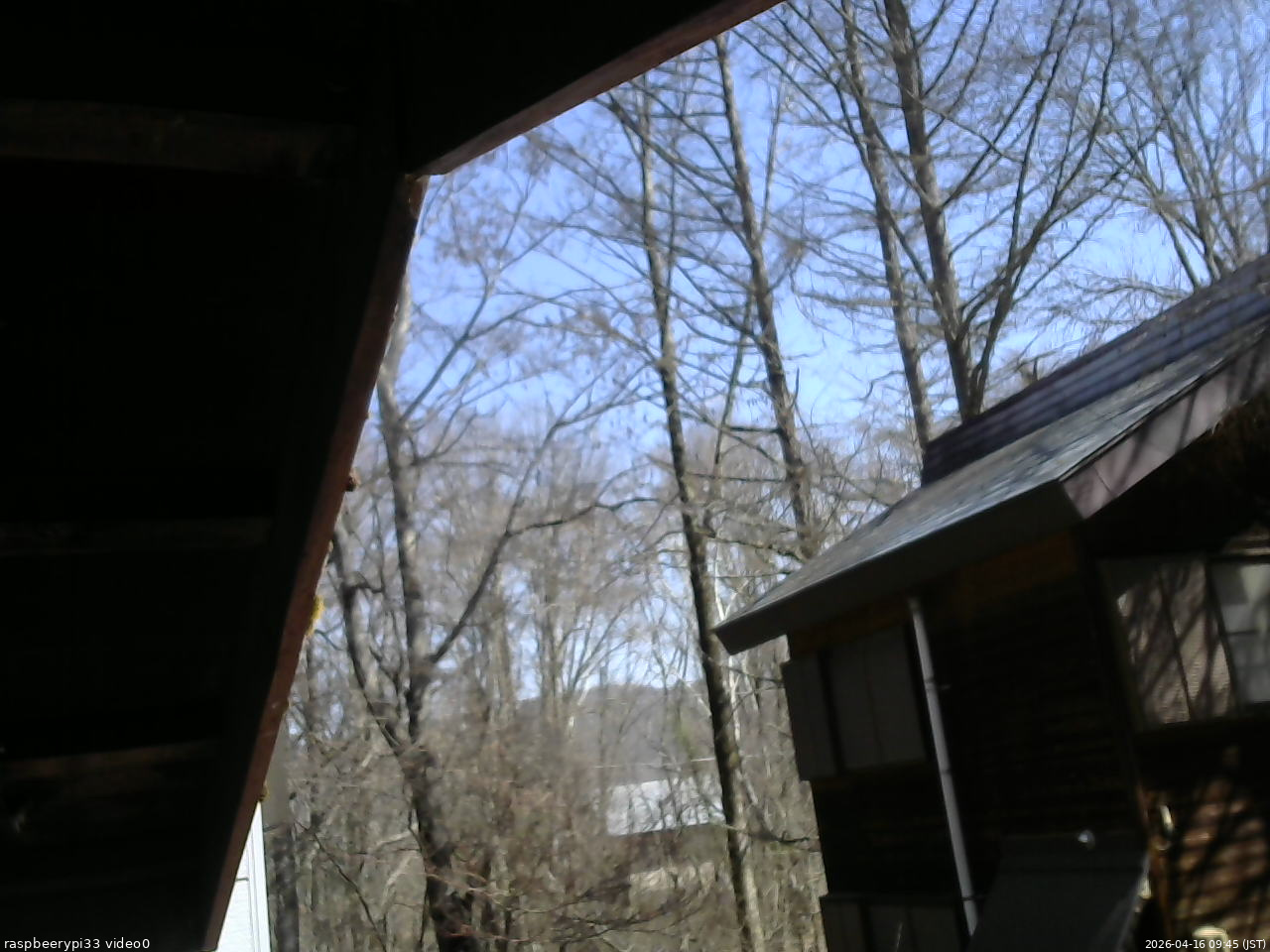 長野県菅平高原 ゆたか山荘 北側 2026/04/16 09:45