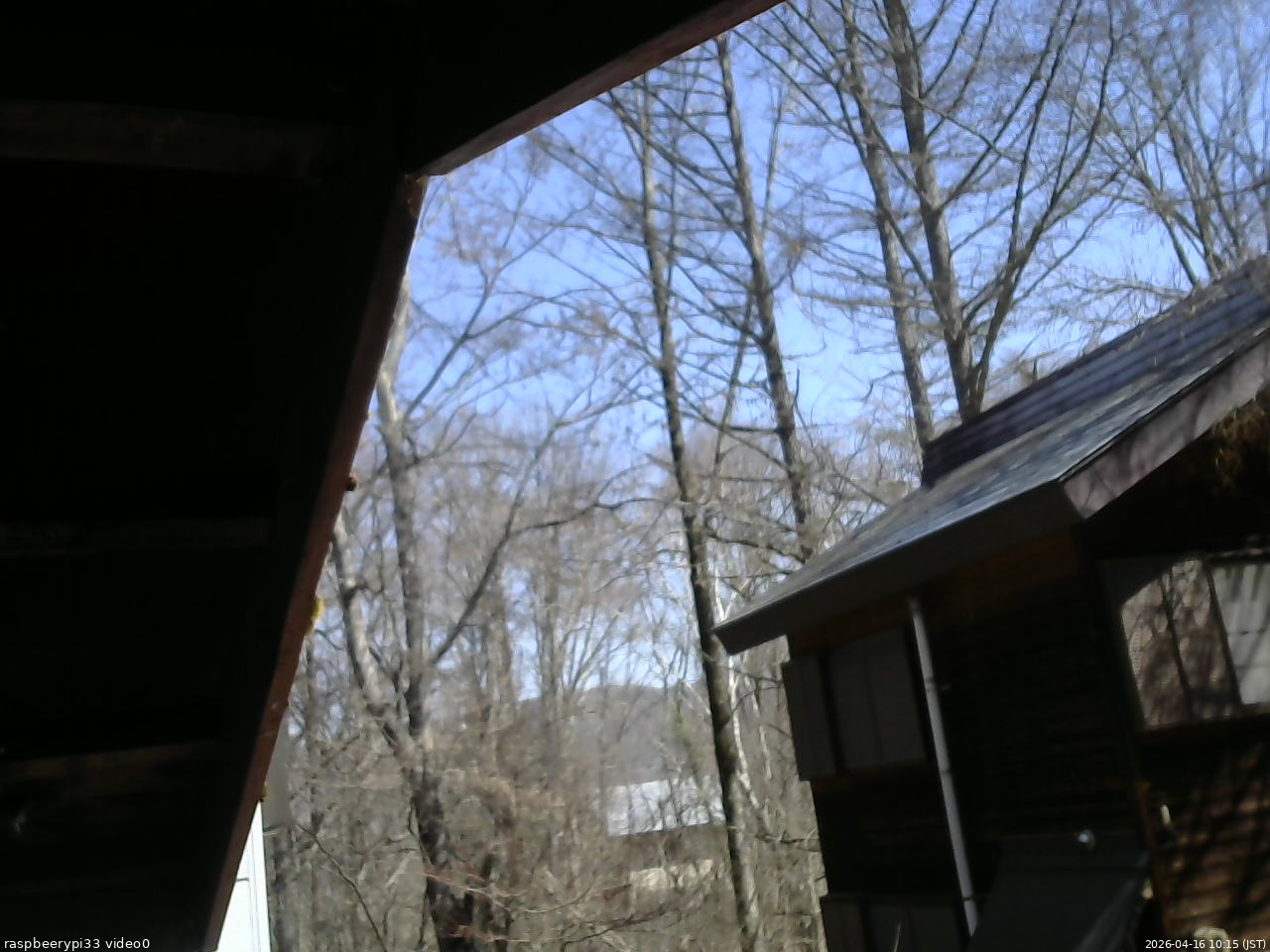 長野県菅平高原 ゆたか山荘 北側 2026/04/16 10:15